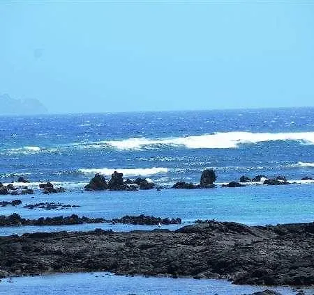 Orzalina
